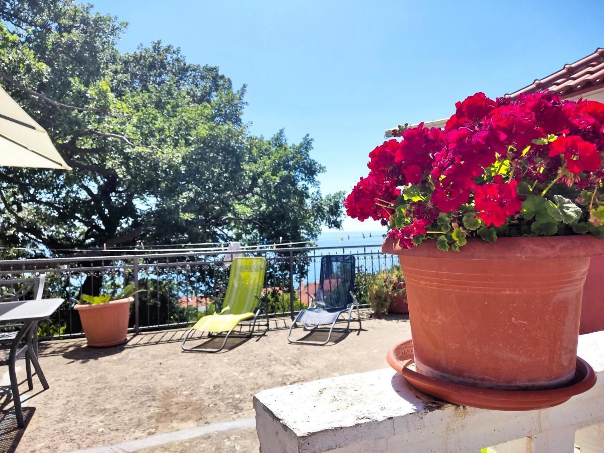 Dubrovnik Moonshine Apartment ムリニ エクステリア 写真