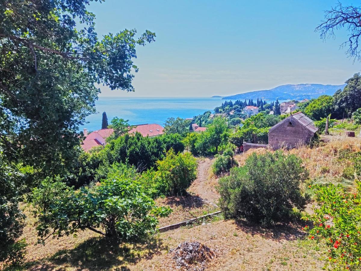 Dubrovnik Moonshine Apartment ムリニ エクステリア 写真