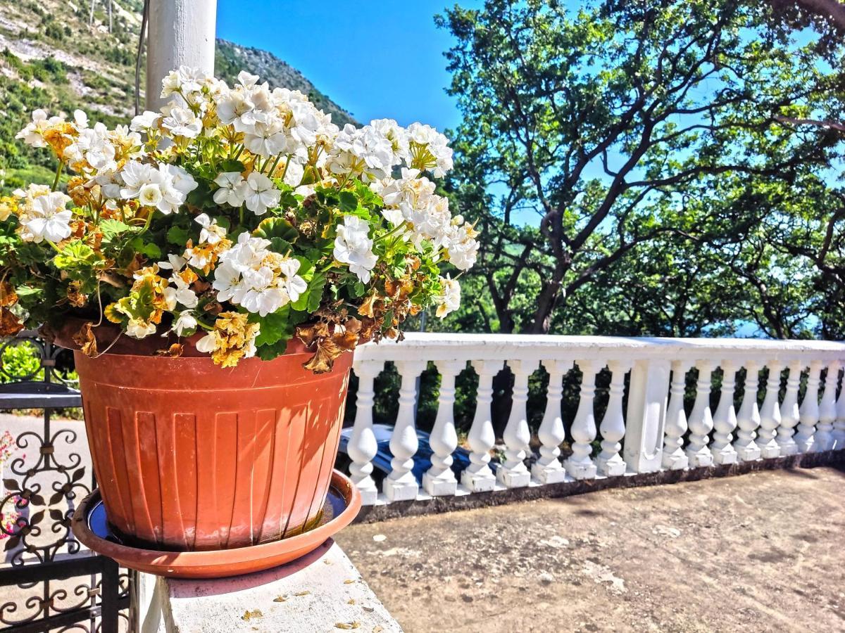 Dubrovnik Moonshine Apartment ムリニ エクステリア 写真