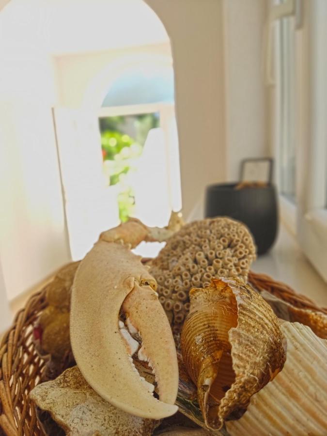 Dubrovnik Moonshine Apartment ムリニ エクステリア 写真
