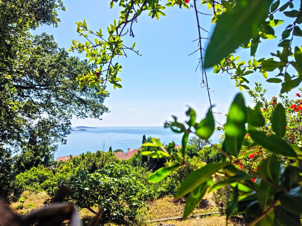 Dubrovnik Moonshine Apartment ムリニ エクステリア 写真